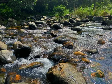 深圳周游｜海丰水底河野炊之旅