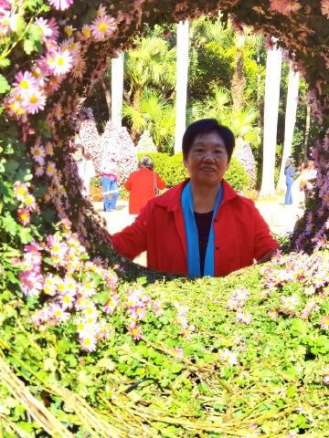 #我在深圳逛花展#