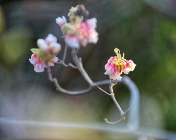 #一句歌词作为深圳人的年终总结#