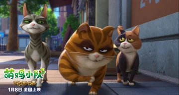 #走读深圳好奇种子#