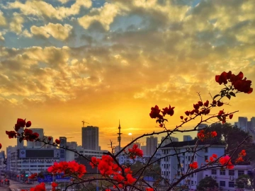 2022年的第一道晨光……深圳