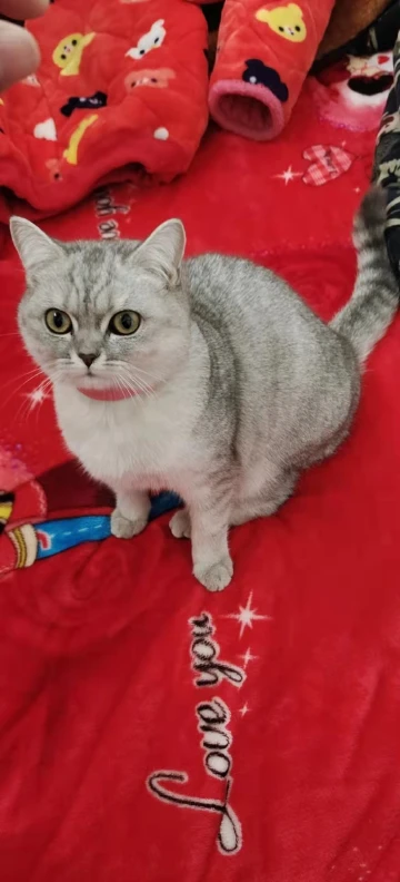 家有萌宠,如有一宝