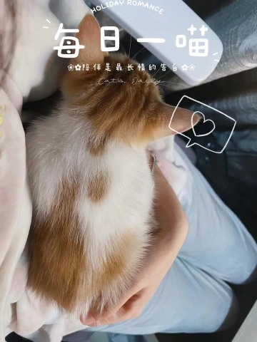 #迎虎年晒萌宠#