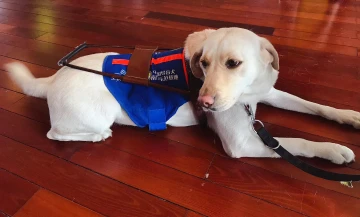 迎虎年晒萌宠|亲和有个性的Alice美女