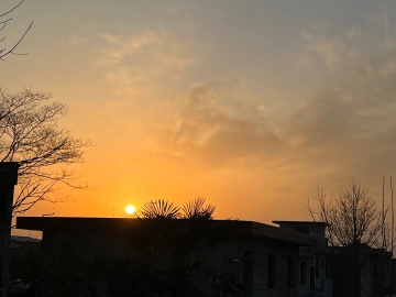 #手绘鹏城新年#