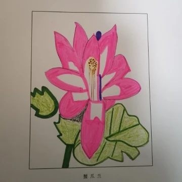 #手绘鹏城新年#