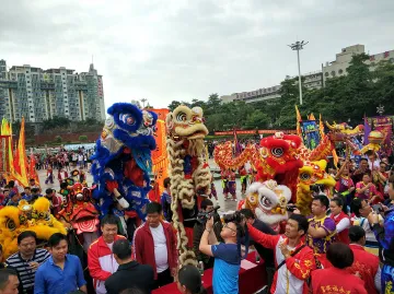 #诗情画意闹元宵#闹元宵