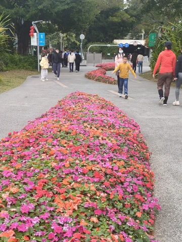 #诗情画意闹元宵#