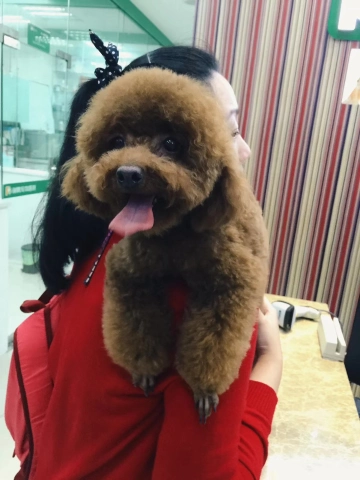 我的毛毛取暖小神器～😊😊比秋裤保暖