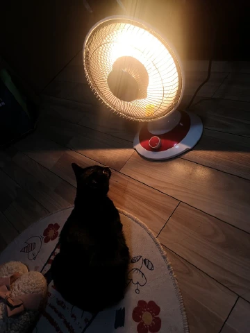 冬天居家取暖神器