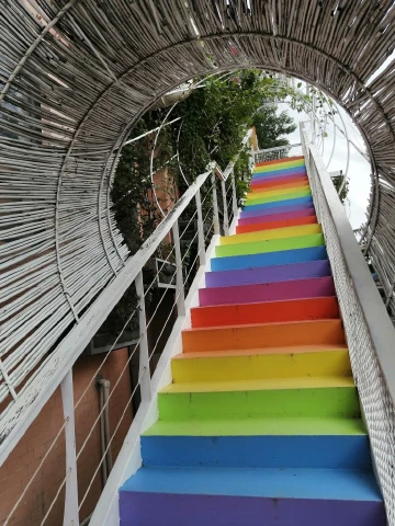 深圳立新湖畔和深圳湾畔#寻找鹏城最美春天#