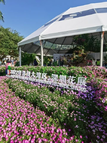 #圳是踏青好时节#