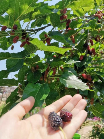 #圳是踏青好时节#