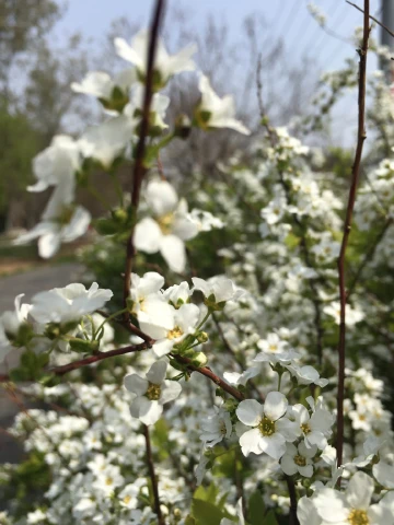 #圳是踏青好时节#