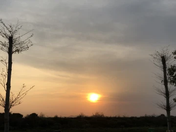 #圳是踏青好时节#