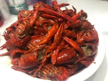 吃好喝好玩好，养生养心养神兽