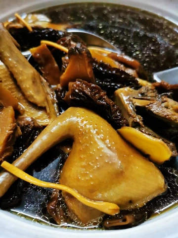 温情煮意|炖一碗鲜美的老鸽菌汤