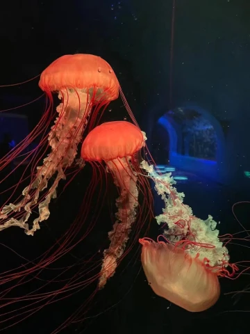 #今日童心未泯小可爱#