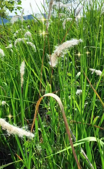 #今日童心未泯小可爱#