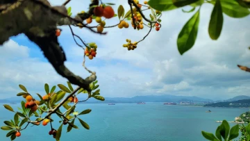 #深圳看海好去处#