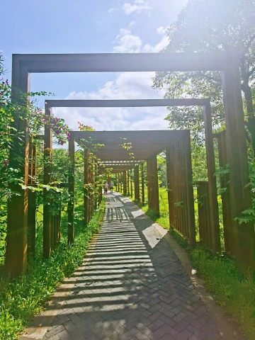 #深圳看海好去处#