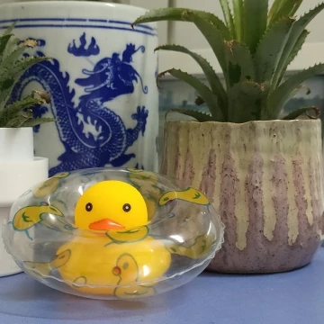 #追风少年不负青春#