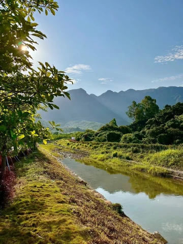 #深圳看海好去处#
