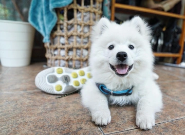 小乖，让我陪你长大。