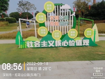 红花山公园寻绿记