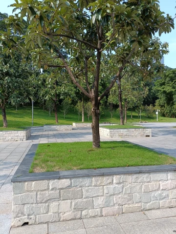 #发现深圳宝藏公园#美丽深圳公园