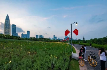 #42年见圳鹏城色彩#