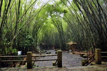 让我爱上美丽深圳的理由