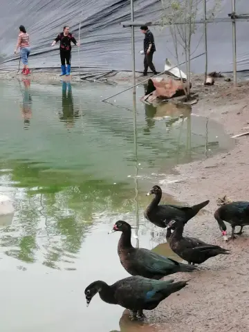 国庆假期乡下游收获满满