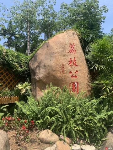 深圳荔枝公园，美就在你身边