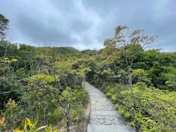 #深圳好地方#梅沙尖 登高看海