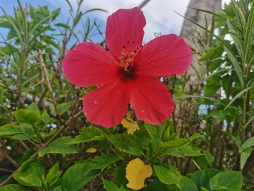 #深圳“寻宝”积分赛#