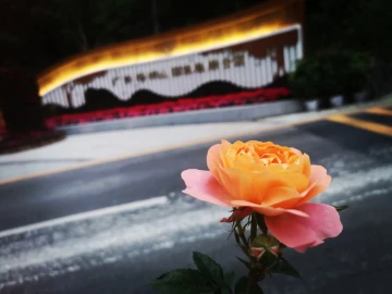 鹏城第一峰，你还可以这样玩