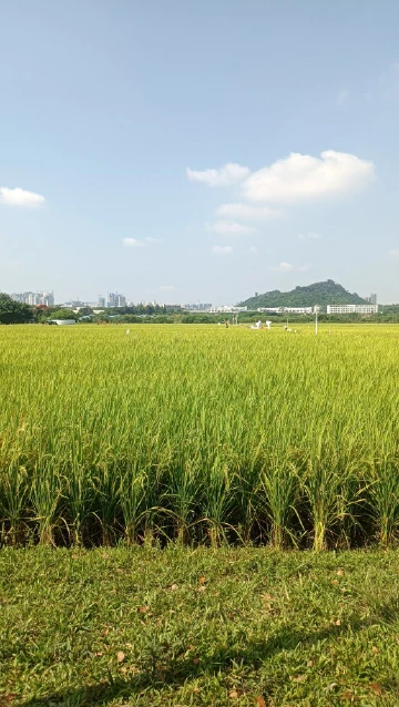 祝愿祖国繁荣昌盛