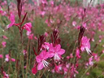 衷心祝福伟大的祖国更加繁荣昌盛，人民幸福生活更加美满！