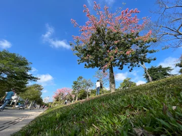 越来越美的深圳