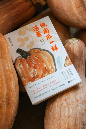 《像南瓜一样活着》