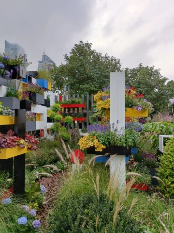 #花时花事#真美丽花！