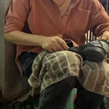 不关店的修鞋匠