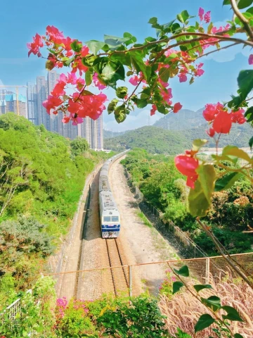 梅林绿道--绝佳踏秋好去处