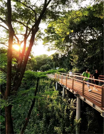 #必去的免费景点#