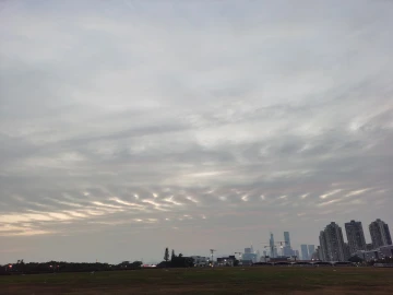 深圳“大平台”霞光