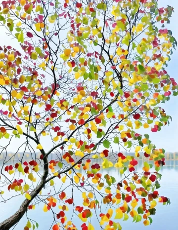 #镜头里的“深”秋#