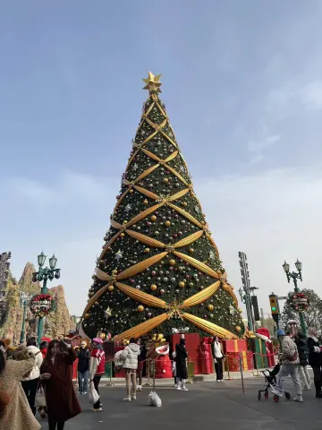 #来鹏友圈找搭子#