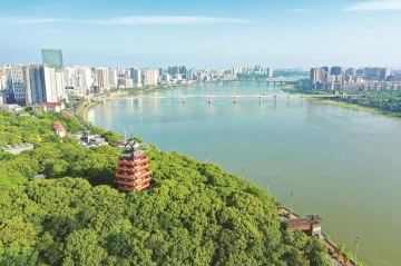 湘江芦淞水清景美