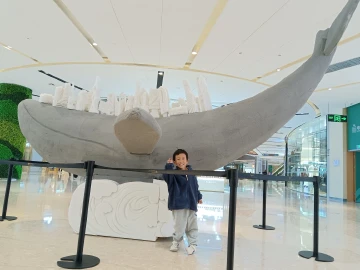 一首意境悠远的诗